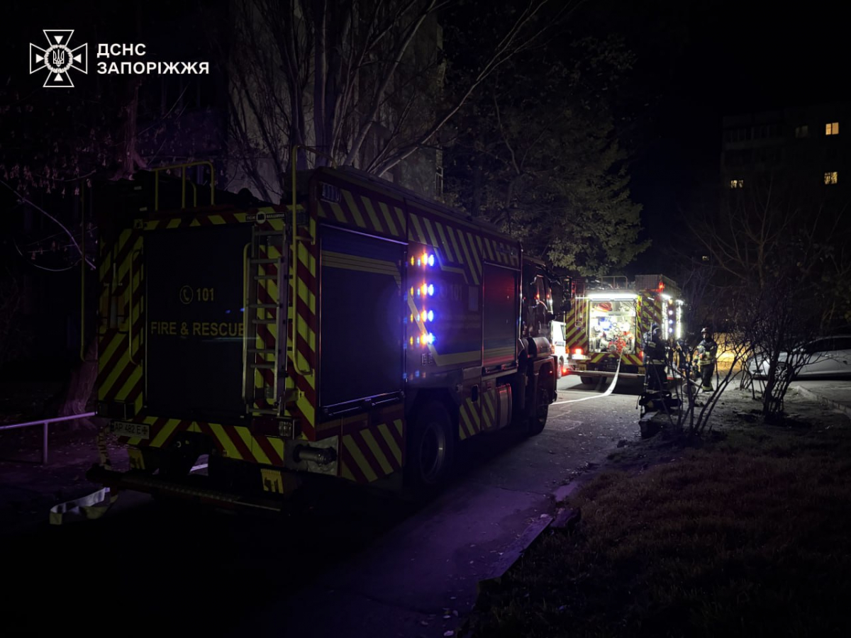 Під час пожежі в запорізькій багатоповерхівці люди опинились заблокованими у квартирі - фото