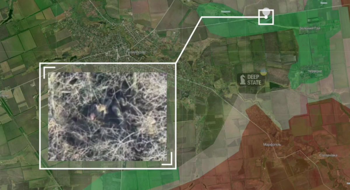 Росіяни розстріляли українських військовополонених на Запоріжжі - прокуратура відкрила справу (відео)