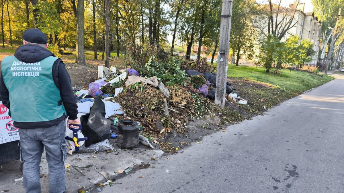 Сміття просто неба — у Запоріжжі екологи виявили звалище відходів біля дороги (фото)