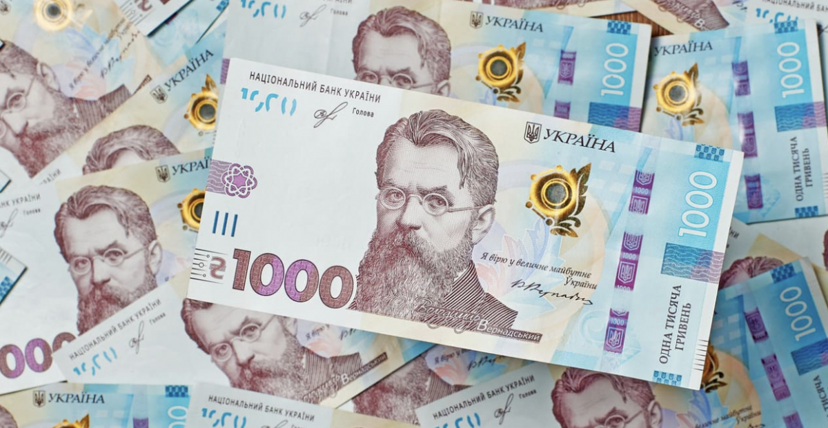 Стартувала подача заяви на виплату "зимової" 1000 грн від держави через Дію - як запоріжцям отримати і на що можна витратити