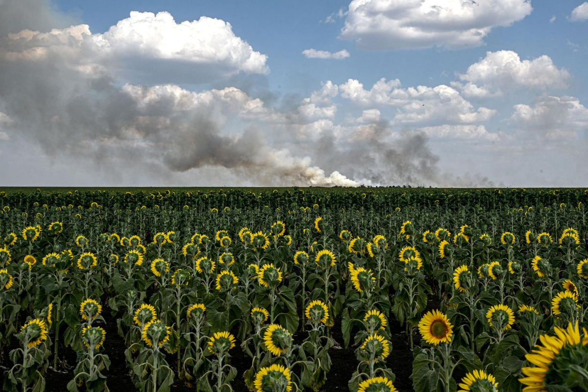 Світлина запорізького фотографа про контрасти війни стала однією з найкращих у світі в 2025 році