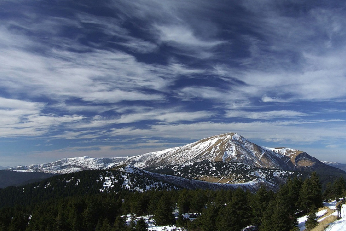 Телефон розряджався, а сил майже не лишилося — туристка із Запоріжжя заблукала в Карпатах (фото)
