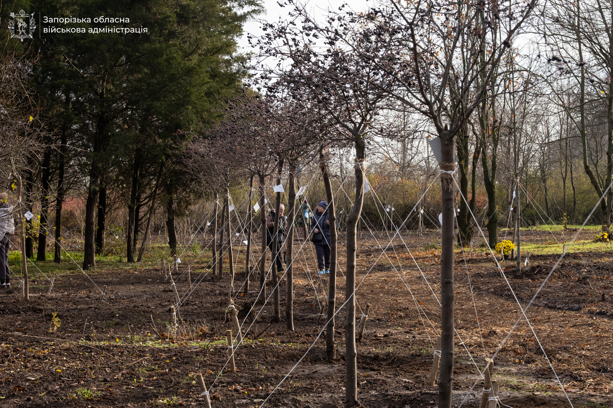 У Запоріжжі на Хортиці вшанували полеглих Героїв — у "Парку Честі" висадили сотні молодих дерев пам’яті (фото, відео)