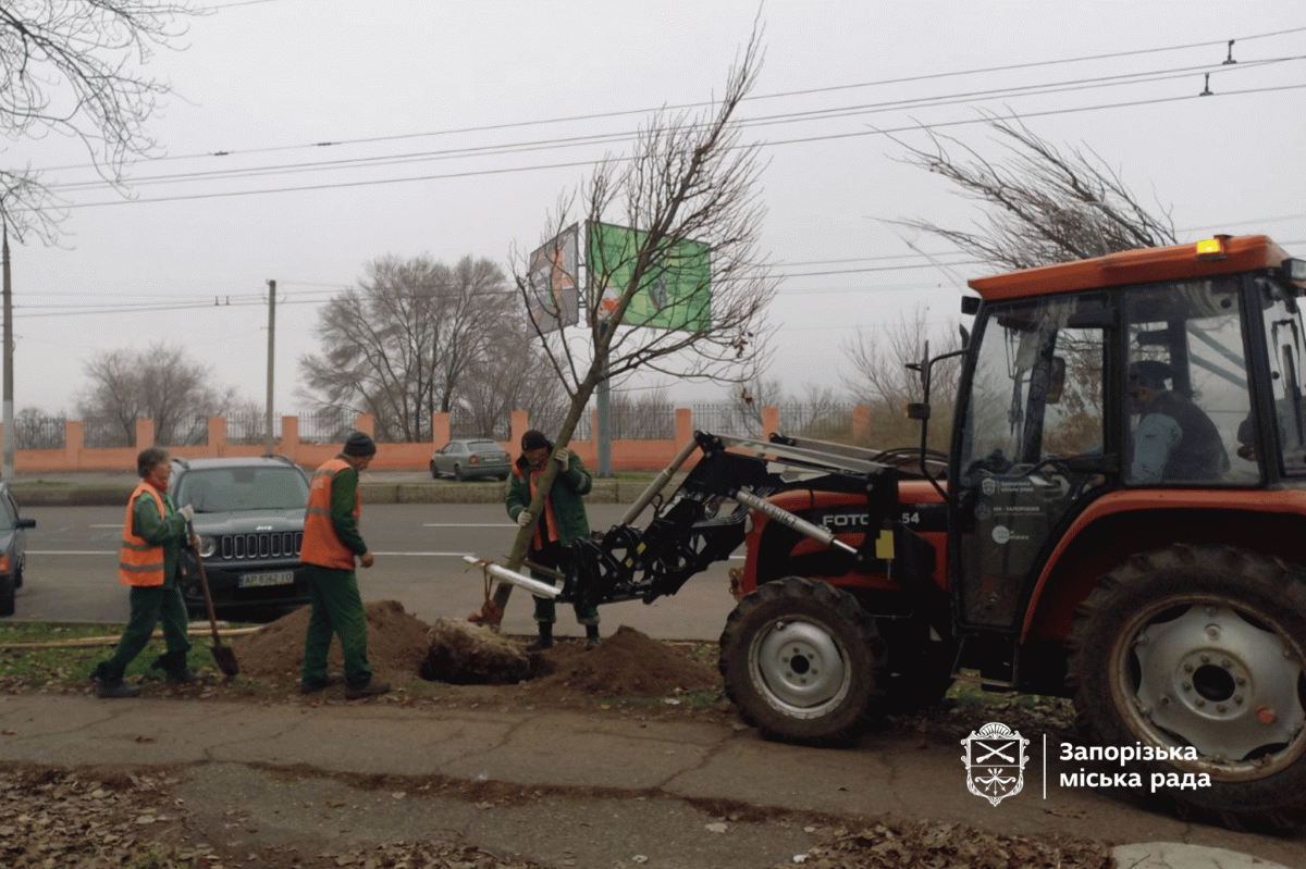 У Запоріжжя висадили нові дерева — у парку та сквері з'являться сакури та сливи Пісарді (фото, відео)
