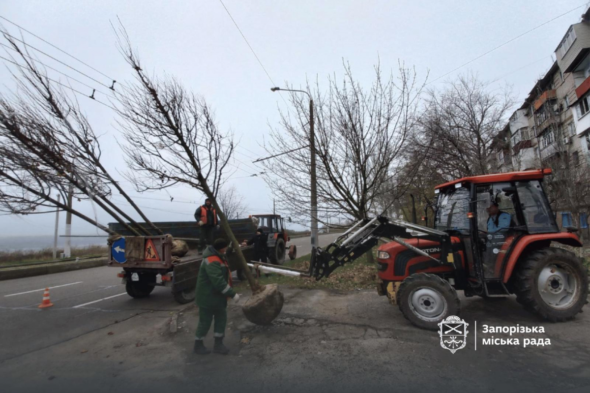 У Запоріжжя висадили нові дерева — у парку та сквері з'являться сакури та сливи Пісарді (фото, відео)