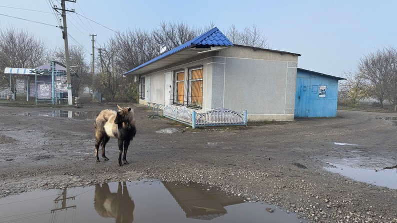 За 12 кілометрів від лінії фронту: як живе під обстрілами спустошіле Тернувате на Запоріжжі