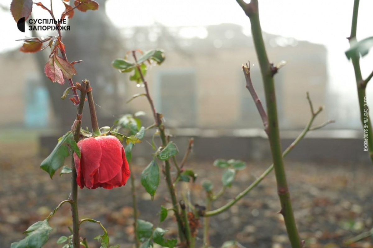Виїхало понад тисячу мешканців - як виглядає селище у Запорізькому районі, що за 12 км від фронту
