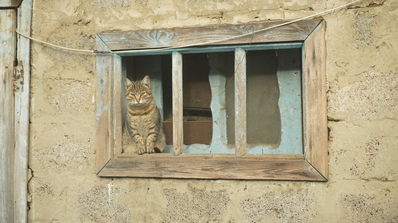 За 12 кілометрів від лінії фронту: як живе під обстрілами спустошіле Тернувате на Запоріжжі