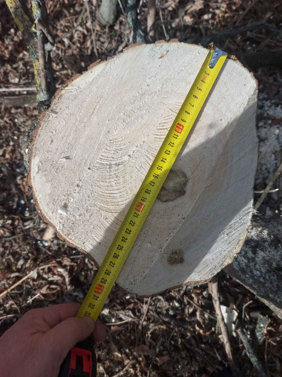 Затримали «чорного» лісоруба – у Запорізькому районі чоловік напиляв собі причіп дров (фото)