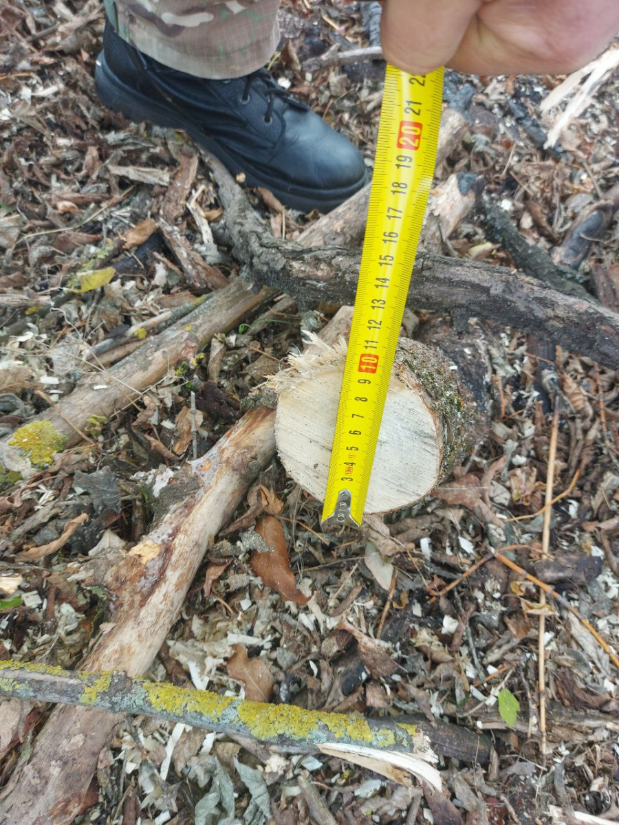 Затримали «чорного» лісоруба – у Запорізькому районі чоловік напиляв собі причіп дров (фото)