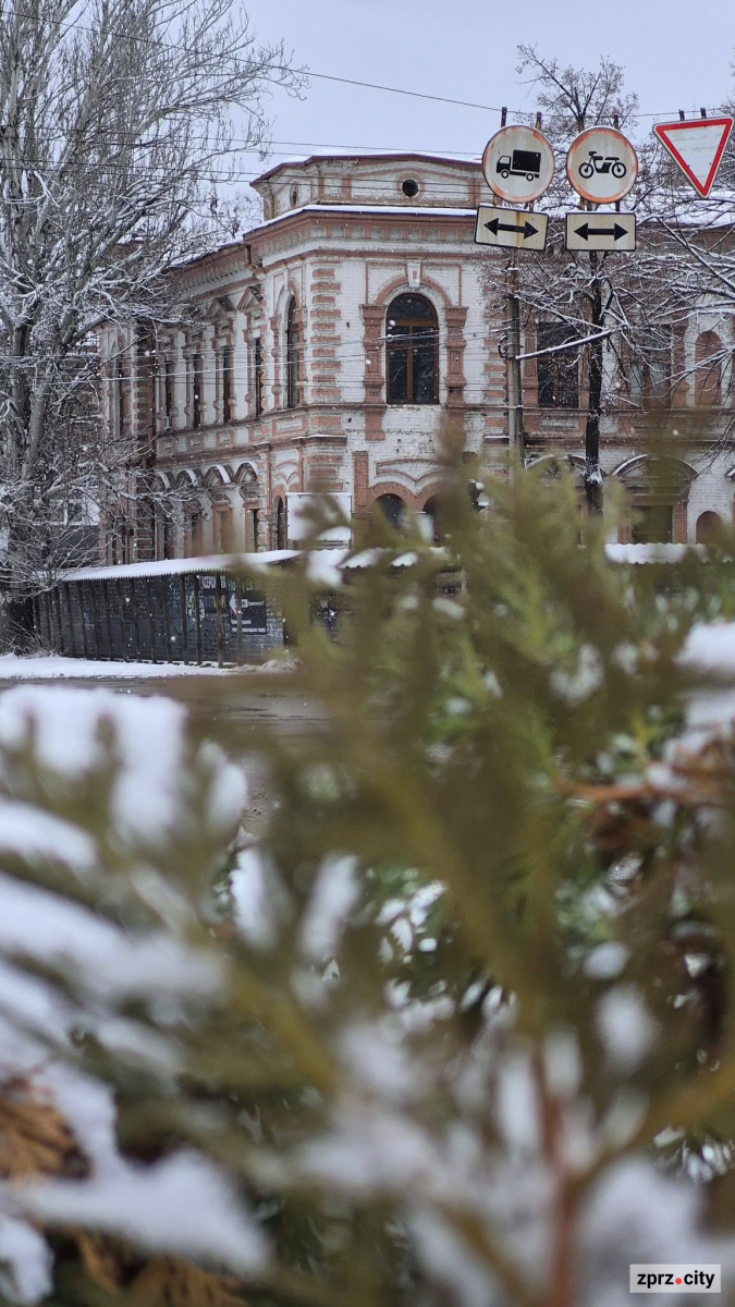 Архітектурна пам’ятка XIX століття - у Запоріжжі зберігся особняк промисловця Бадовського (фото)