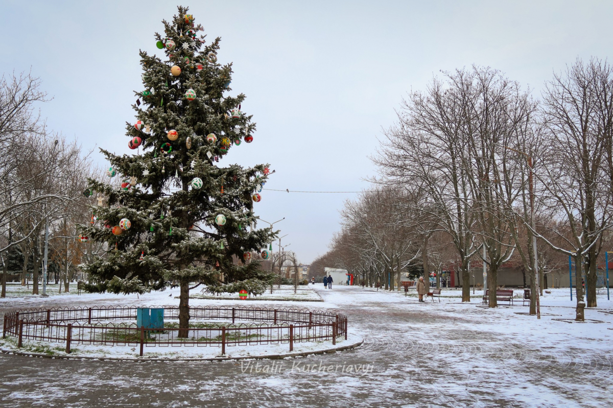 Без опадів та з туманами – якою буде погода у Запоріжжі на вихідних 20-21 грудня