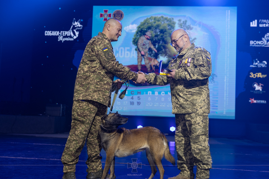 Чотирилапа героїня війни - службова собака із Запоріжжя стала лауреаткою унікального проєкту (фото)