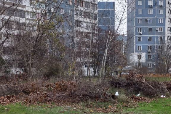 Двір зі смітником - у Запоріжжі екологи піч час рейду виявили стихійне звалище поряд з будинками (фото)
