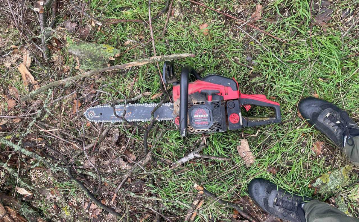 Екоінспекція викрила вирубку дерев — що знайшли під час рейду в Запорізькому районі (фото)