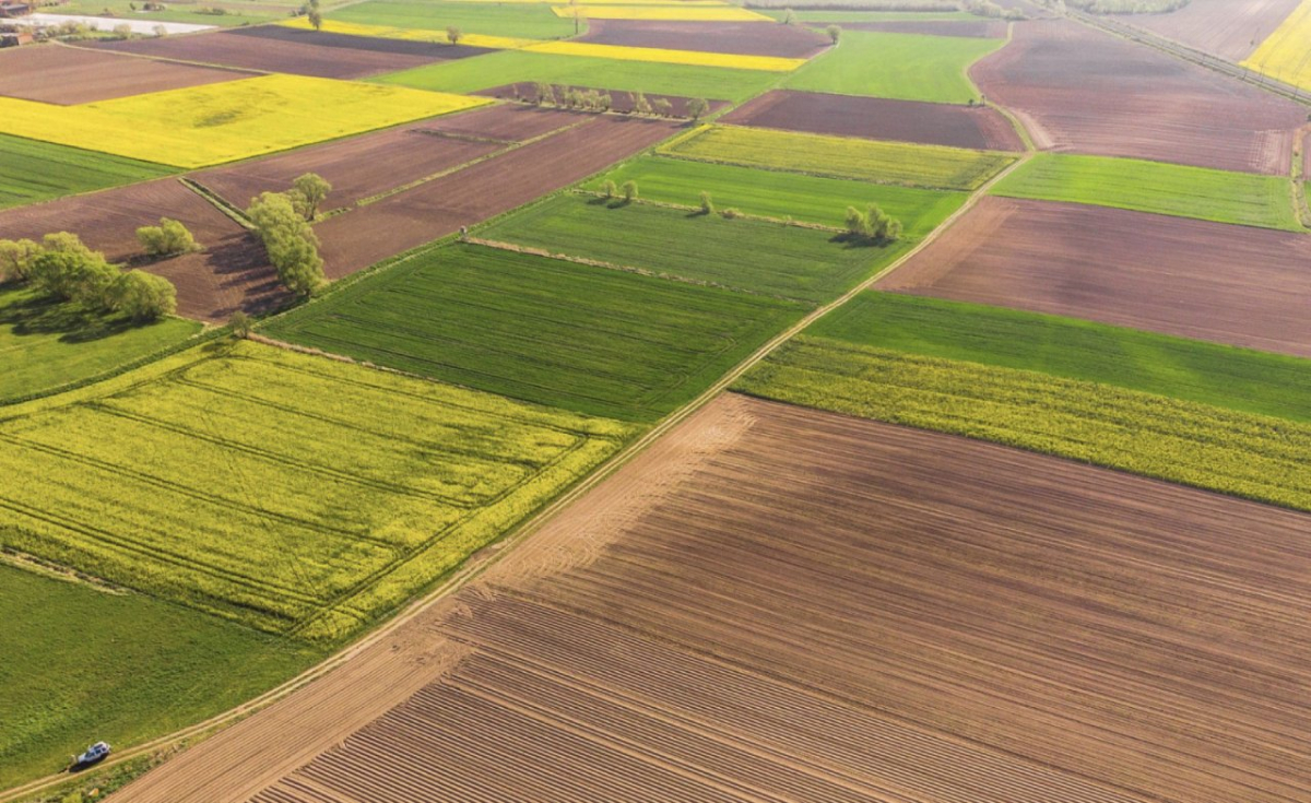Громаді повернули землю — у Запорізькому районі розірвали оренду за несплату
