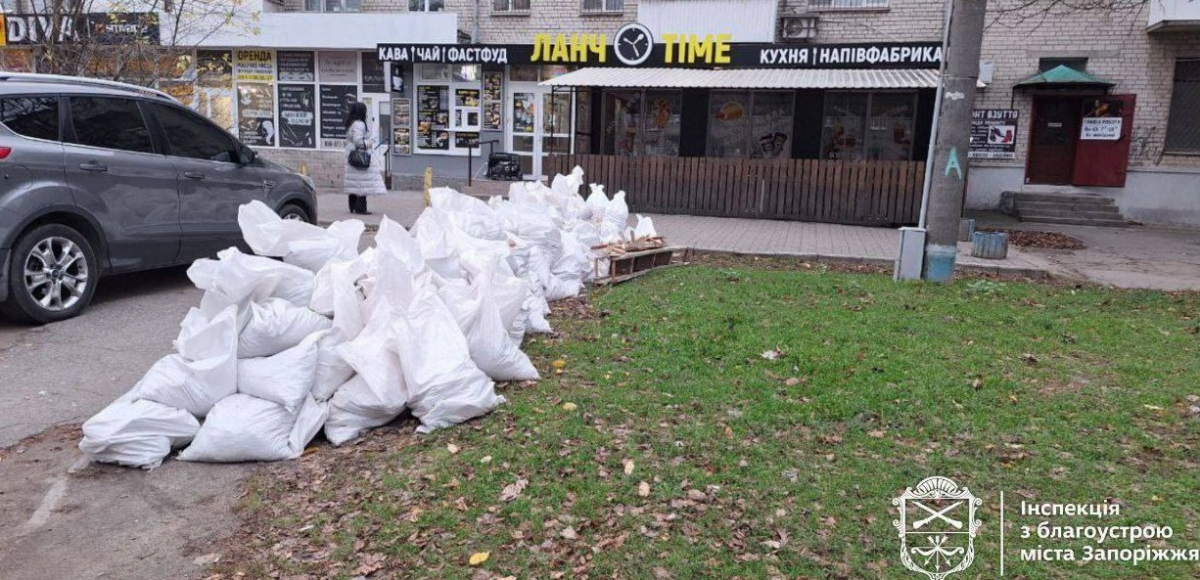 Хаос у рекламі та сміття — в Запоріжжі інспектори з благоустрою провели перевірку підприємців (фото)