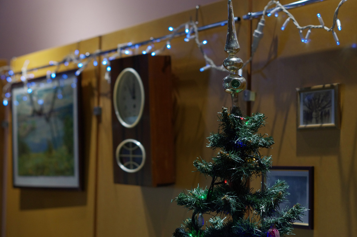 Квести, майстер-клас та душевна виставка - як відчути дух Новоріччя в запорізькому історико-краєзнавчому музеї