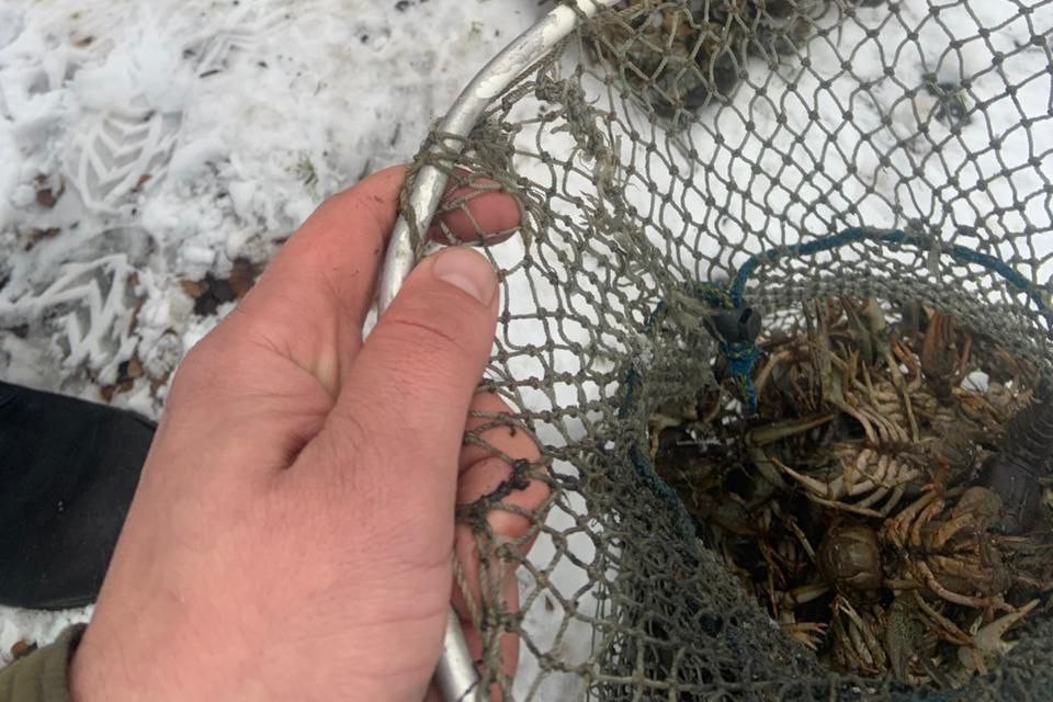 Ловив раків під час заборони: у Запорізькому районі викрили браконьєра (фото)