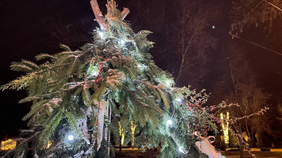 Морози, сніг і ожеледиця - якою буде погода в Запоріжжі в останні вихідні грудня