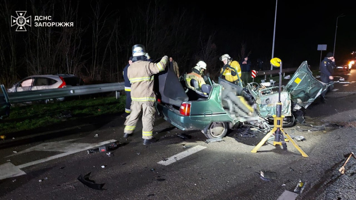 На трасі під Запоріжжям сталася смертельна ДТП: загинули дві жінки, серед постраждалих — немовля
