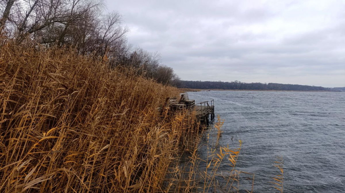 Похмура і туманна зима: у Запоріжжі очікуються хмарність та невеликі дощі