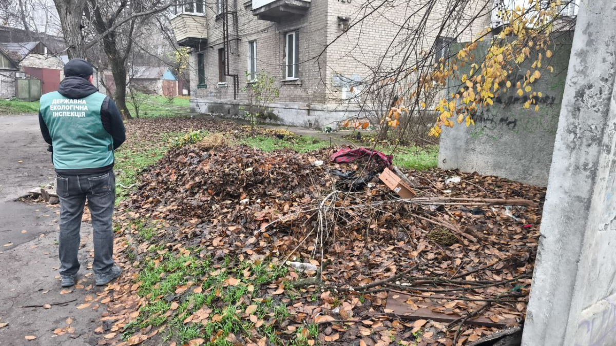 Стихійні сміттєзвалища в Олександрівському районі Запоріжжя: екологічна інспекція виявила забруднені ділянки