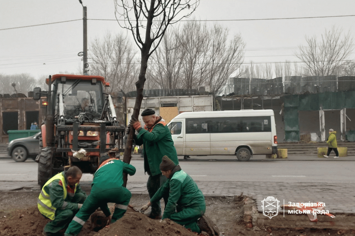 У Запоріжжі на місці загибелі людей після прильотів висадили молоді липи (фото)