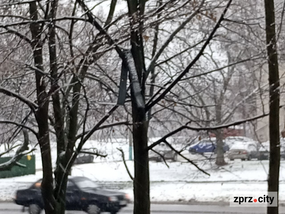 У Запоріжжі почали боротьбу зі снігом - фото перших зимових опадів