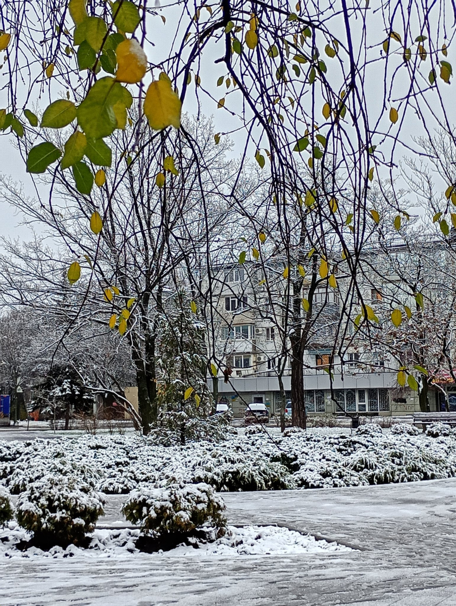 У Запоріжжі почали боротьбу зі снігом - фото перших зимових опадів