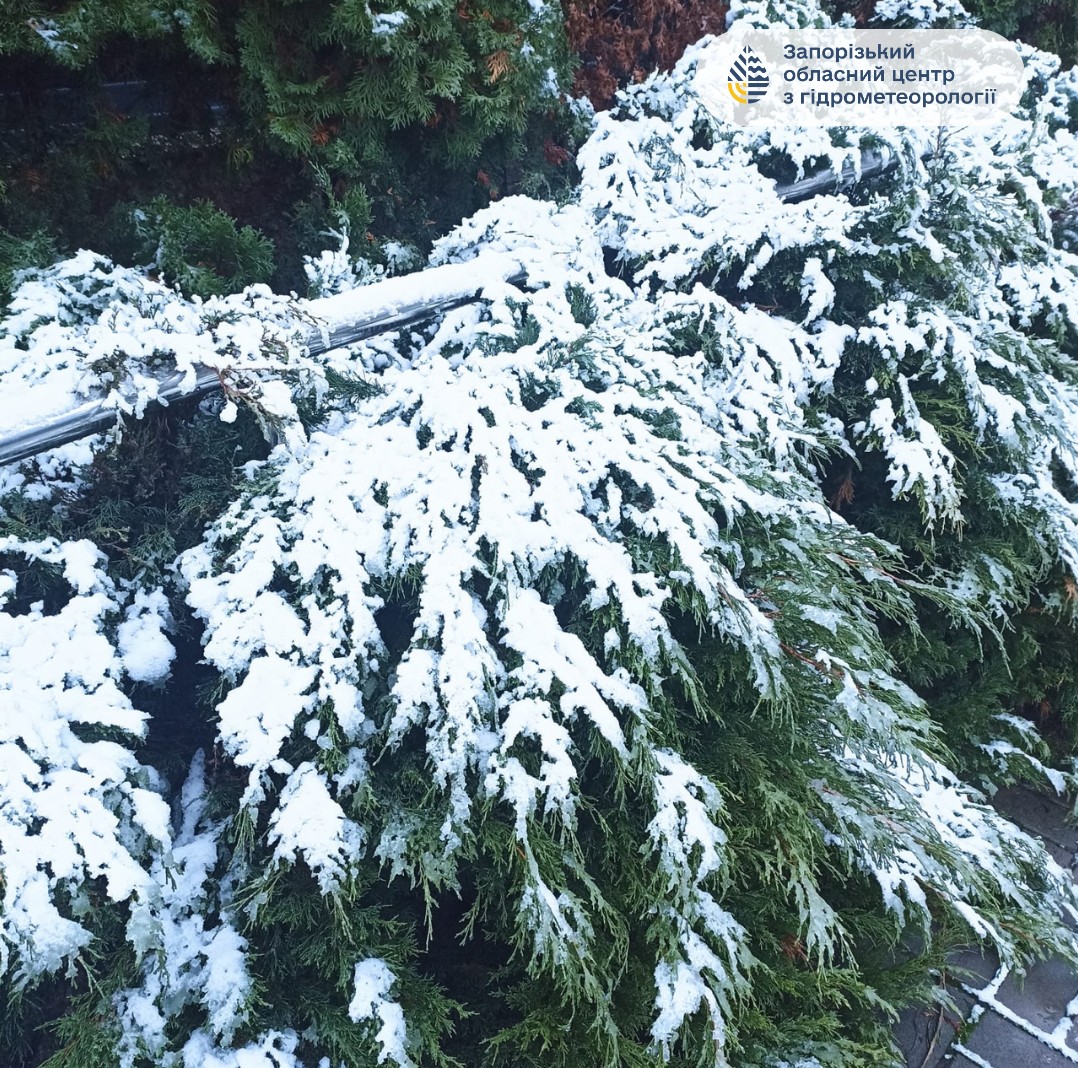 У Запоріжжі почали боротьбу зі снігом - фото перших зимових опадів