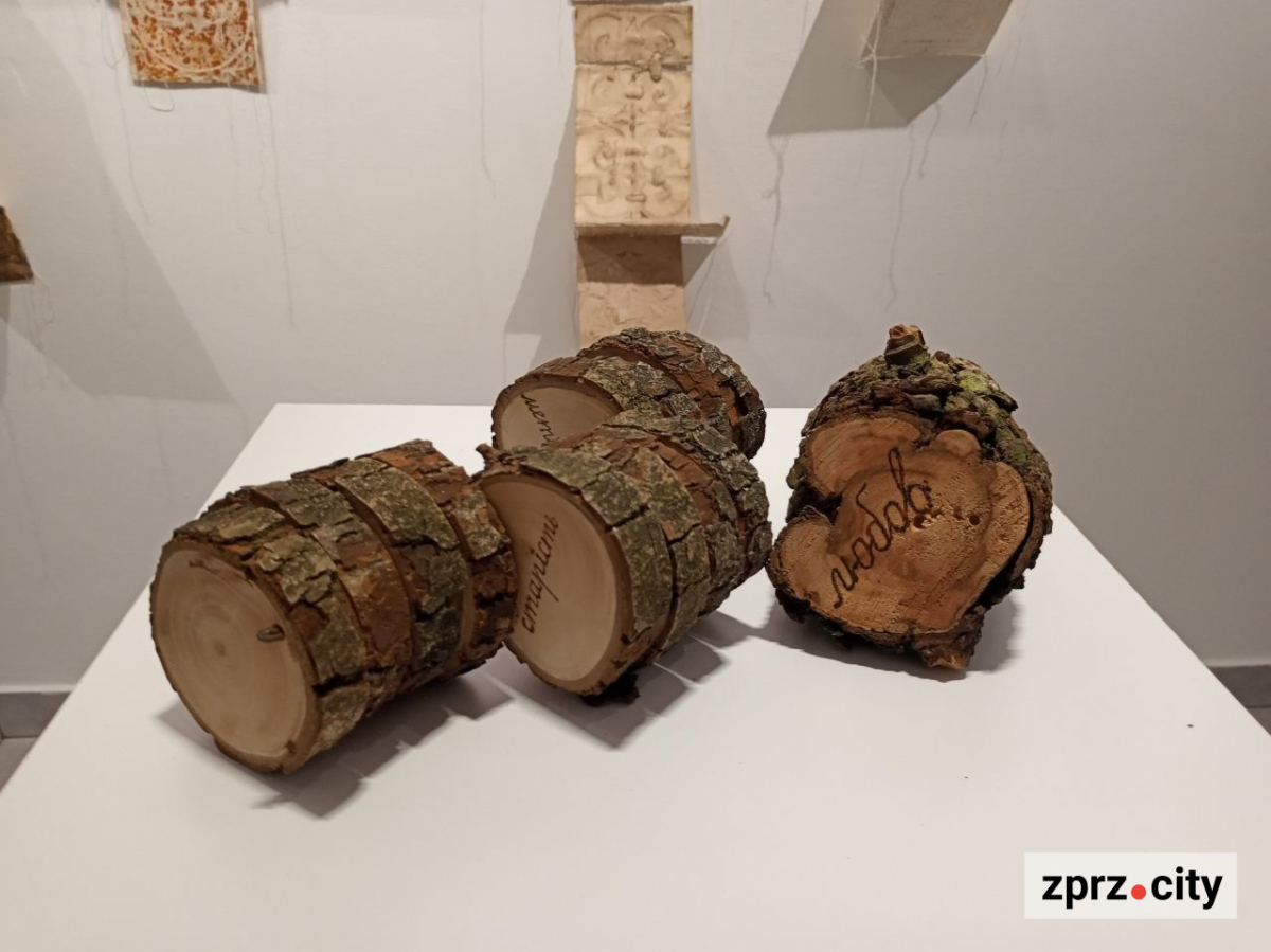 У Запоріжжі показали книгу, вирощену з гриба, та інші незвичайні артбуки - фото