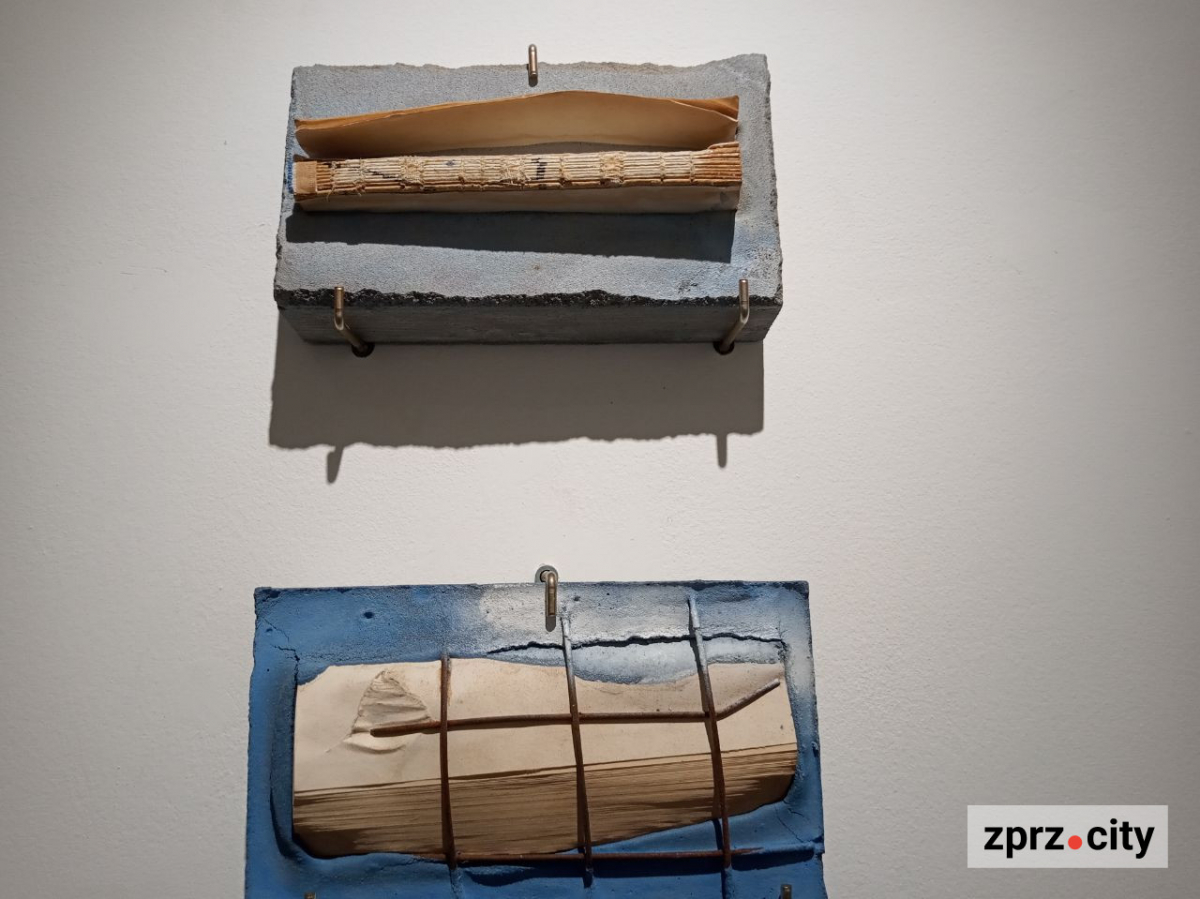 У Запоріжжі показали книгу, вирощену з гриба, та інші незвичайні артбуки - фото