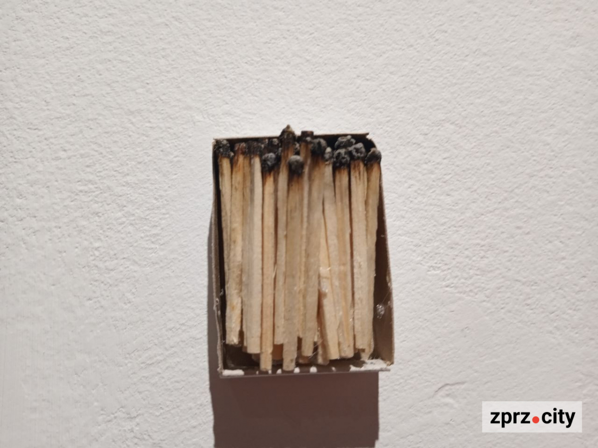 У Запоріжжі показали книгу, вирощену з гриба, та інші незвичайні артбуки - фото