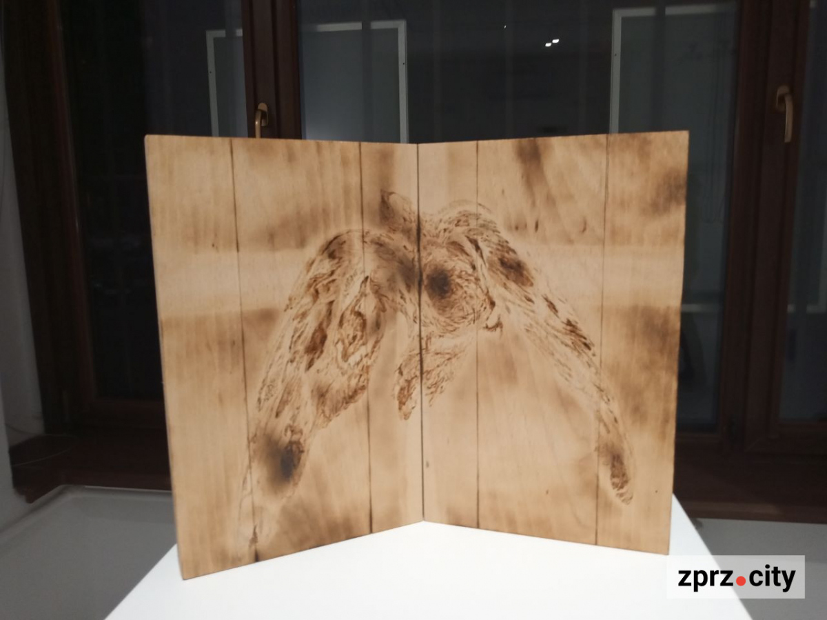 У Запоріжжі показали книгу, вирощену з гриба, та інші незвичайні артбуки - фото