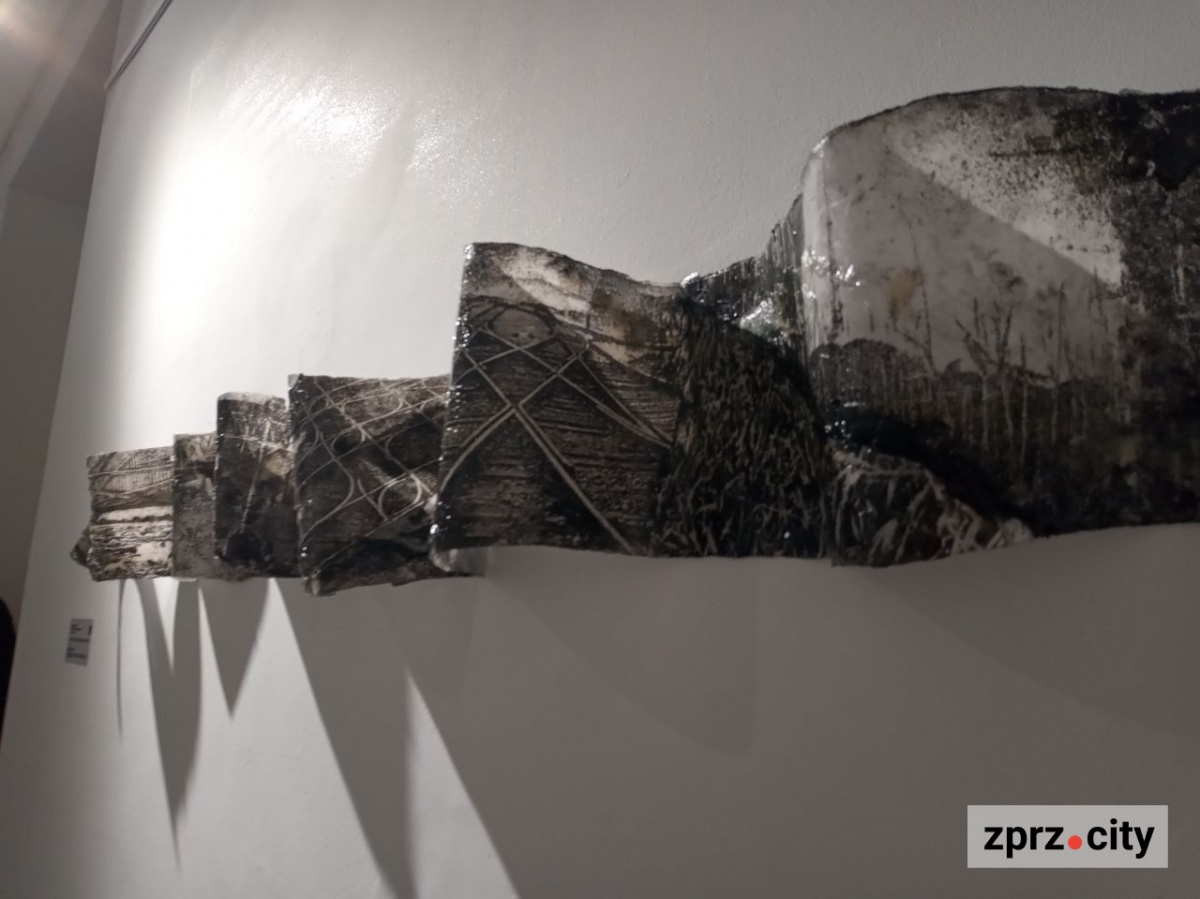 У Запоріжжі показали книгу, вирощену з гриба, та інші незвичайні артбуки - фото