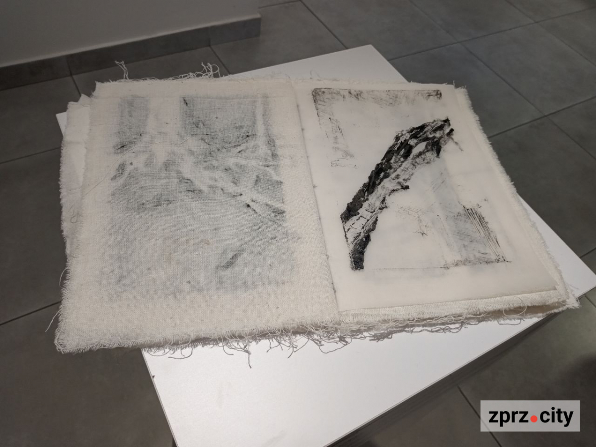 У Запоріжжі показали книгу, вирощену з гриба, та інші незвичайні артбуки - фото