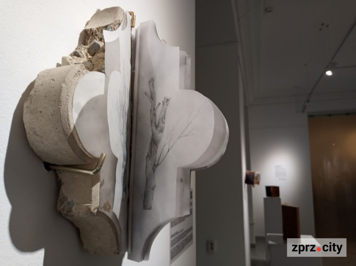 У Запоріжжі показали книгу, вирощену з гриба, та інші незвичайні артбуки - фото