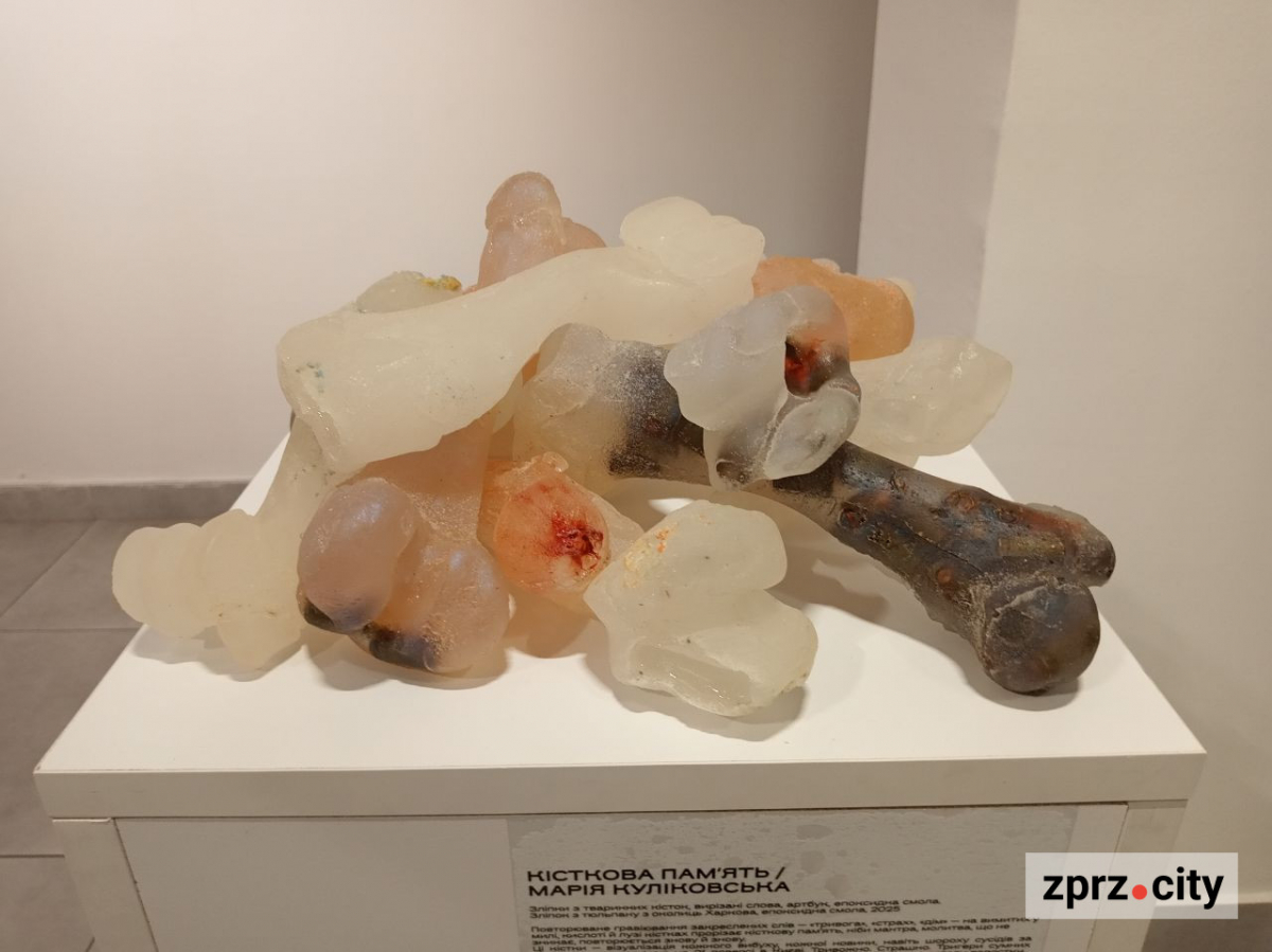 У Запоріжжі показали книгу, вирощену з гриба, та інші незвичайні артбуки - фото