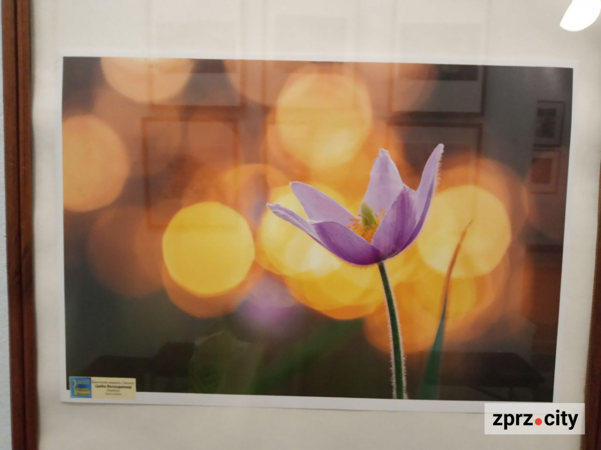 У Запоріжжі відкрили виставку найкращих фотографій з різних країн одного з міжнародних конкурсів - вхід безкоштовний