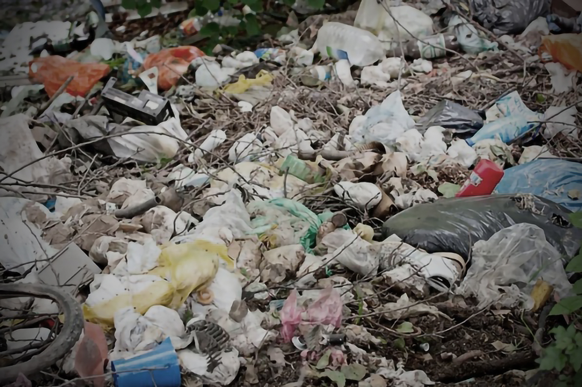 У Заводському районі виявили стихійні звалища побутових та рослинних відходів