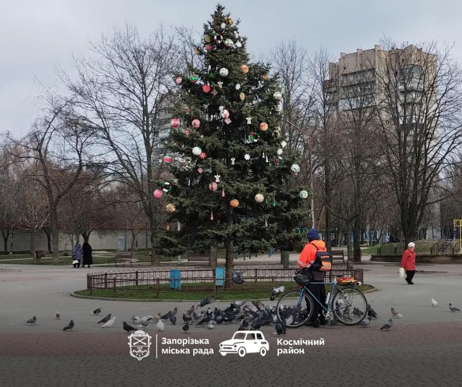 Вандалізм у парку - невідомі вкрали іграшки з ялинки в Запоріжжі