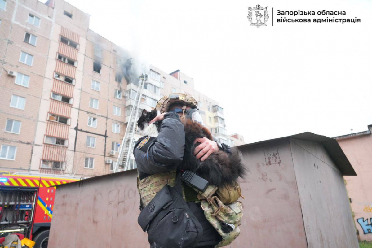 Ворог серед біла дня атакував багатоповерхівку у Запоріжжі - що відомо про наслідки