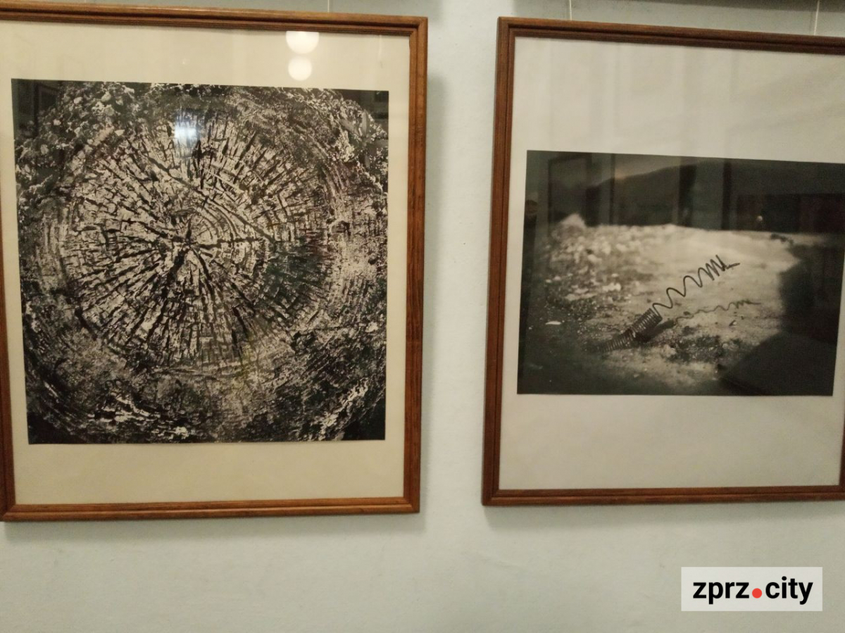 Запорізькі фотохудожники завершують рік великою виставкою - показали багато еротики