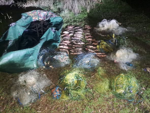 Зловили з човном та сітками - на водосховищі у Запорізькому районі затримали браконьєрів з уловом (фото)