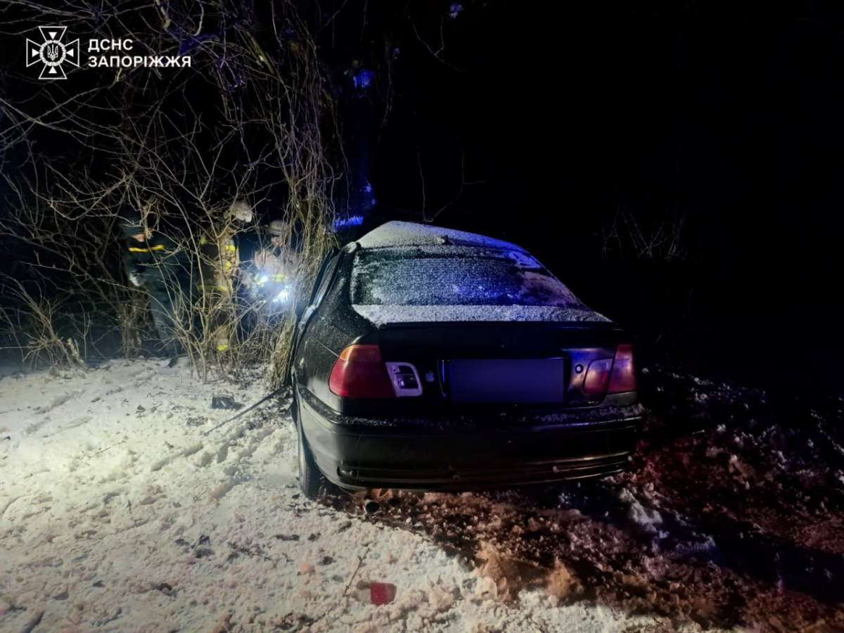 З’їхав у кювет і врізався в дерево - у Запоріжжі сталися дві ДТП, водії в лікарнях (фото)