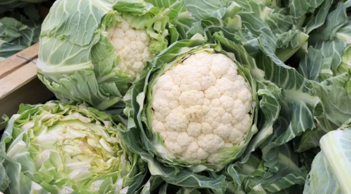 І м'яса не треба - готуємо стейки з несподіваного продукту (відео)