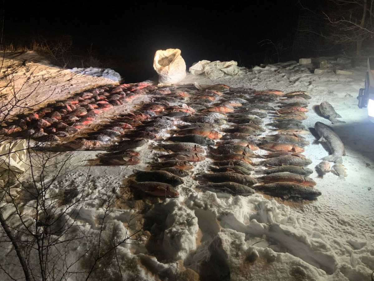 На Дніпровському водосховищі затримали двох браконьєрів - збитки перевищують пів мільйона гривень (фото)