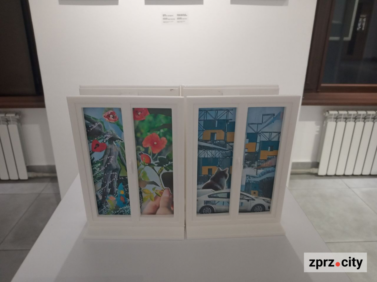 Полежати на експонаті та зробити селфі - у Запоріжжі відкрили виставку найкращих робіт міжнародного фестивалю коллажу (фото)