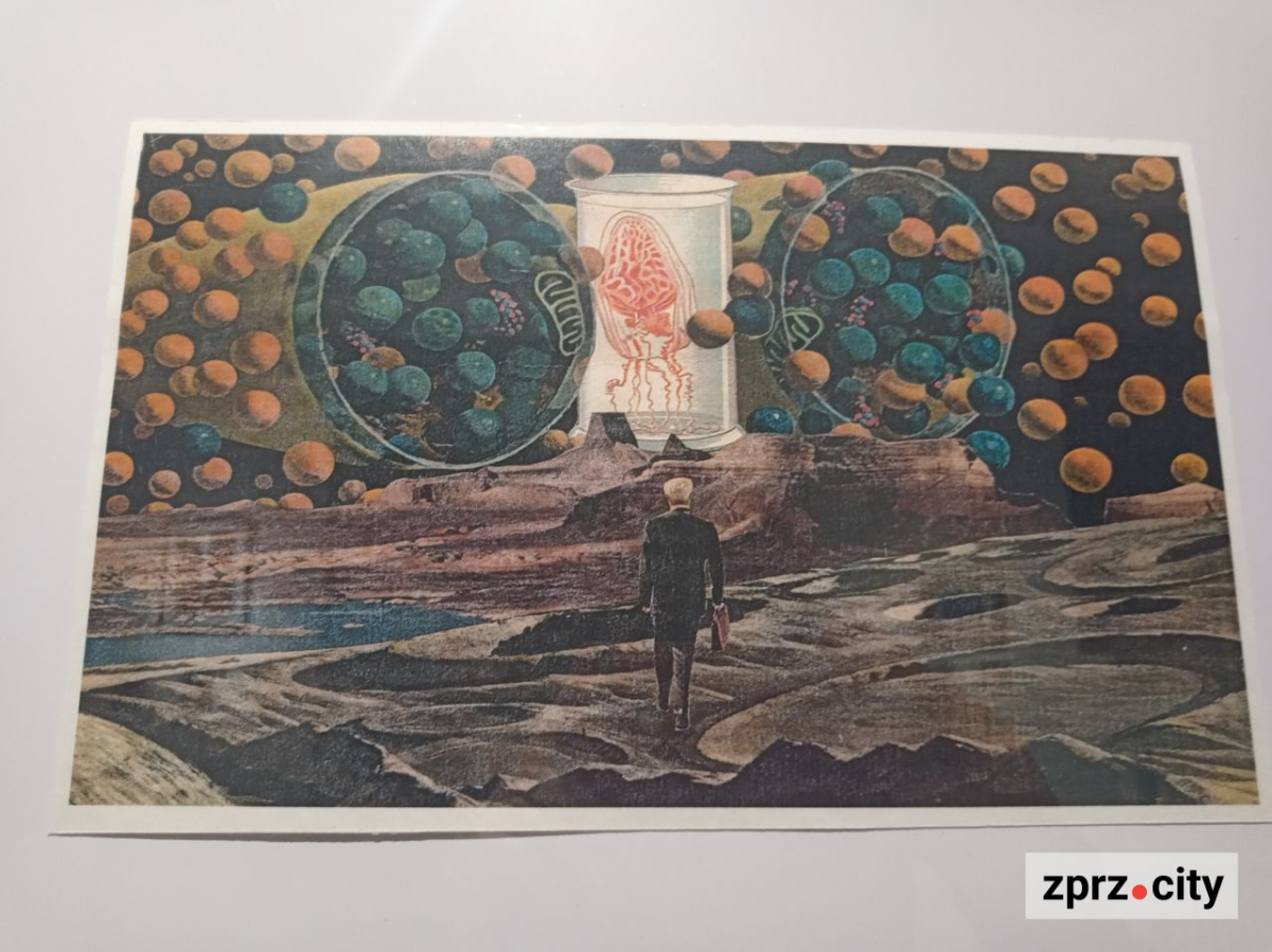 Полежати на експонаті та зробити селфі - у Запоріжжі відкрили виставку найкращих робіт міжнародного фестивалю коллажу (фото)